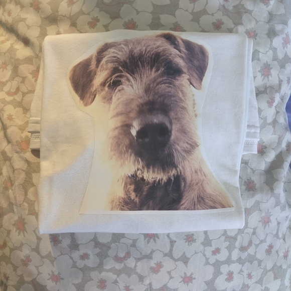 Fundraiser Tshirt #puppy #browniedog #fairygodmothersdog tshirt - Picture 3 of 3
